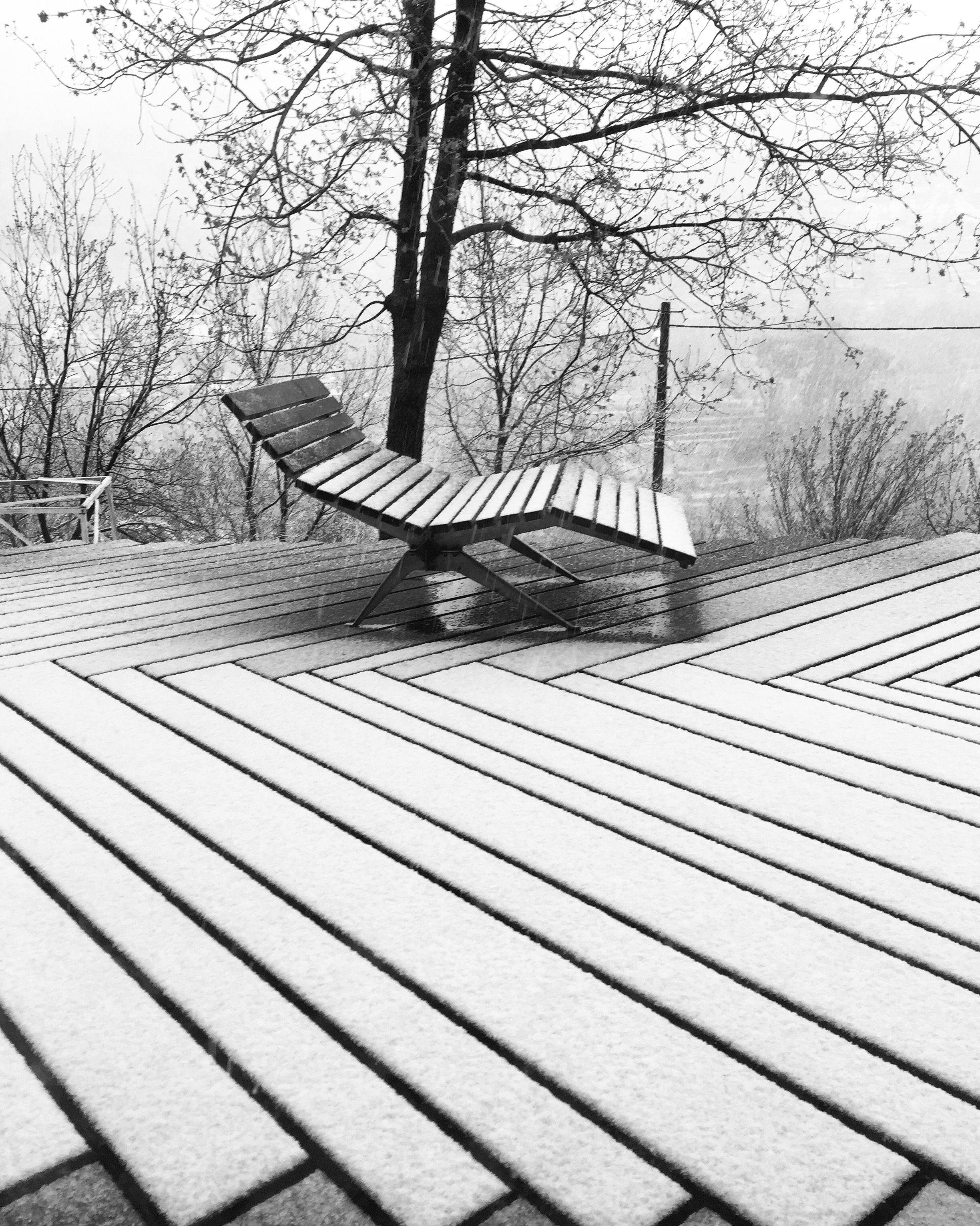 BOARDWALK - WOOD DECK